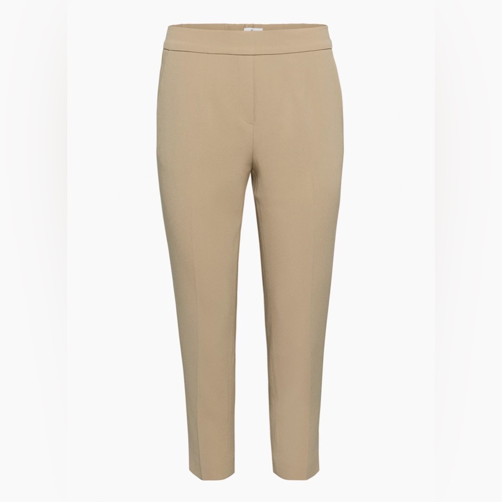 Aritzia Babaton conan
